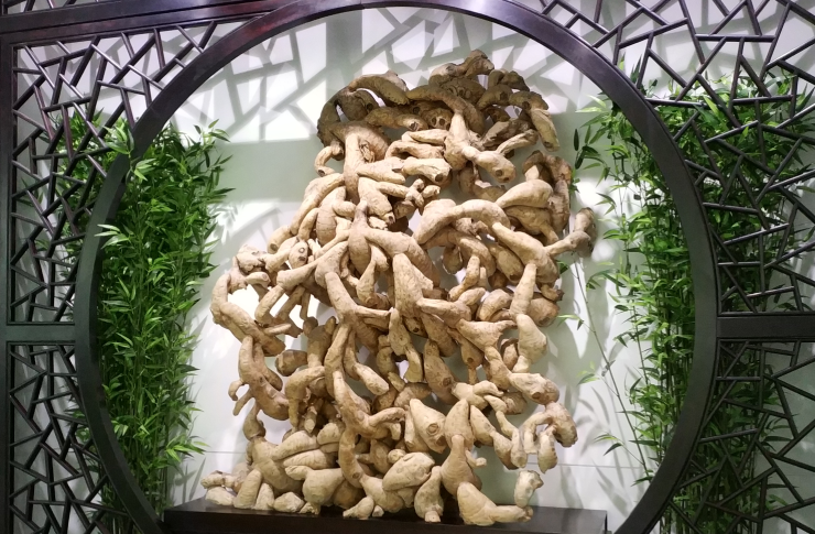 圖片關(guān)鍵詞