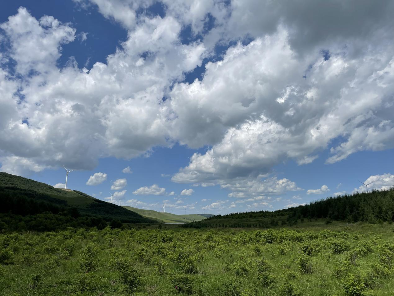 1627977675762503.png 1627977675762503.png